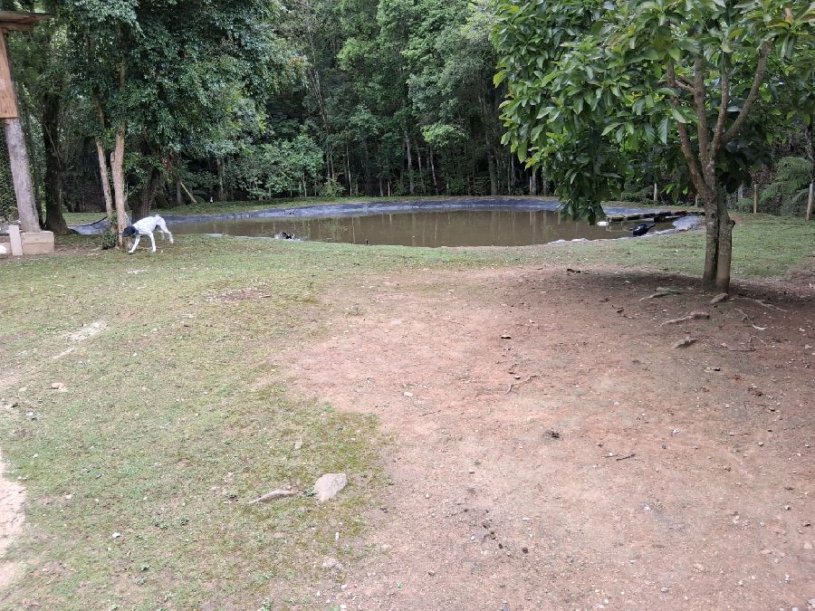 Chácara em Bocaiuva do Sul - Excelente Chácara em Bocaiúva do Sul na localidade de Barra das Cruzes. Com área de 24200 m².