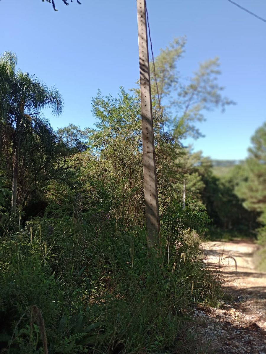 Chácara em Bocaiuva do Sul - Área de terreno rural com bom acesso com área de 20.000 metros quadrados na localidade de Campo Novo, Município de Bocaiúva do Sul, Paraná. Luz, córrego, estrada na divisa. R$ 220.000.00. 