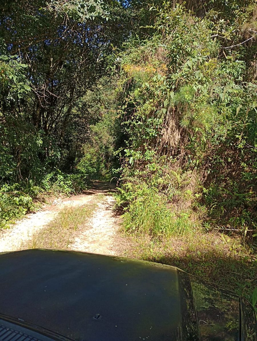 Chácara em Bocaiuva do Sul - Área de terreno rural com bom acesso com área de 20.000 metros quadrados na localidade de Campo Novo, Município de Bocaiúva do Sul, Paraná. Luz, córrego, estrada na divisa. R$ 220.000.00. 